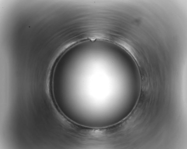 X0000089421139200706221148