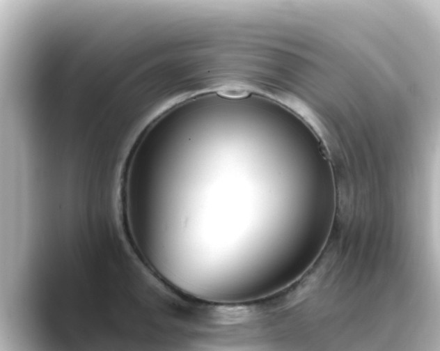 X0000089421142200706221148