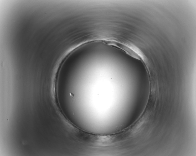 X0000089421144200706221148