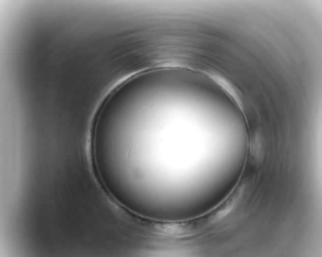 X0000089421149200706221148