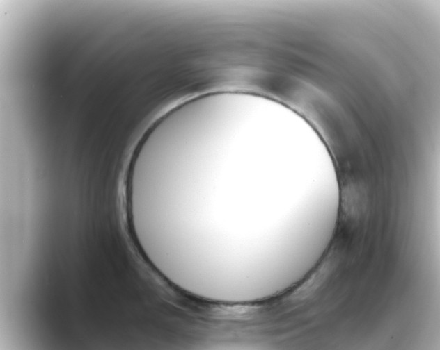 X0000089421150200706221148