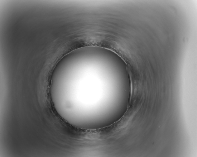 X0000089421153200706221148