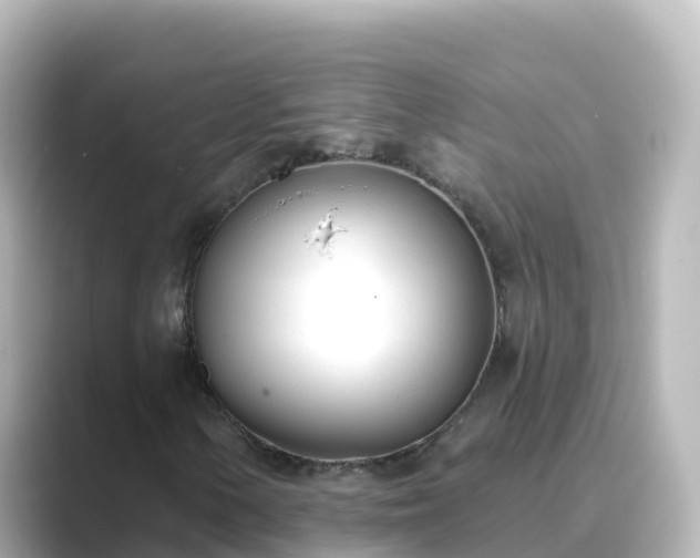 X0000089421154200706221148