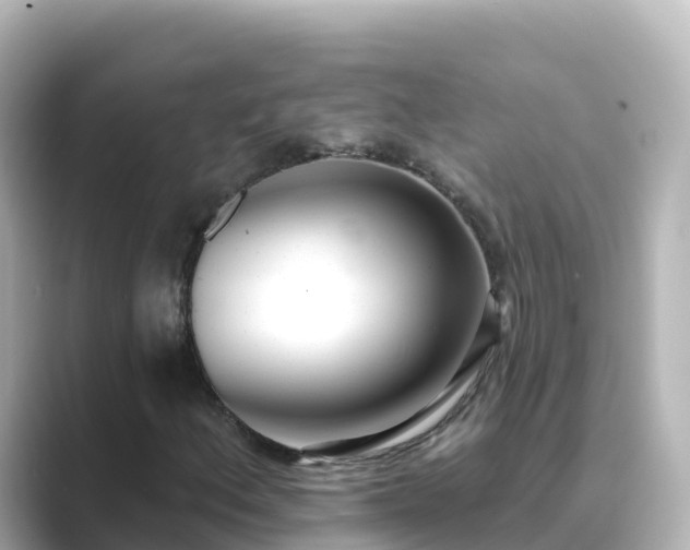 X0000089421156200706221148
