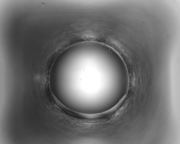 X0000089421157200706221148
