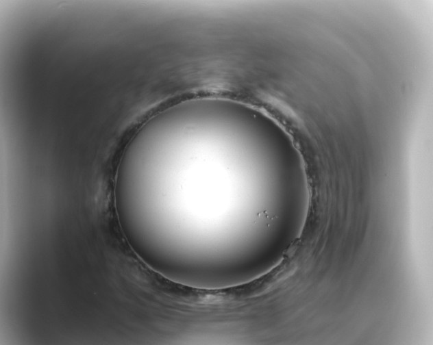 X0000089421160200706221148