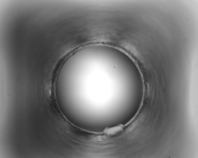 X0000089421165200706221148