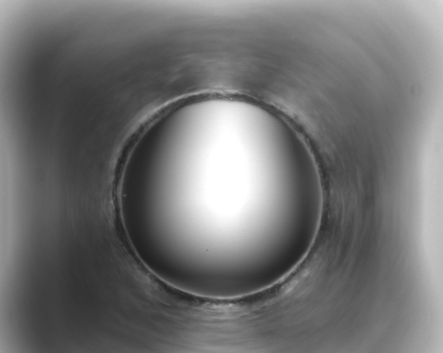 X0000089421168200706221148