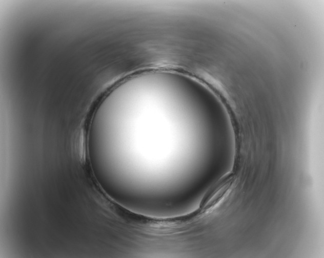 X0000089421171200706221148