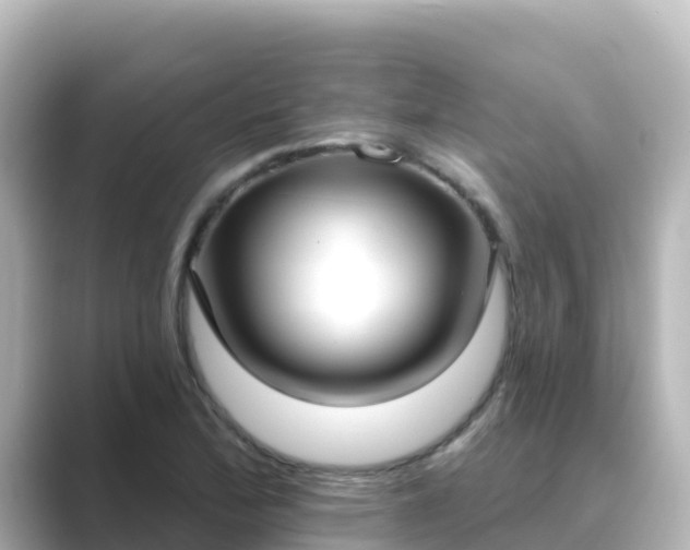 X0000089421172200706221148