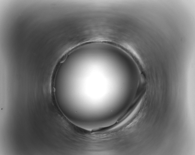 X0000089421173200706221148