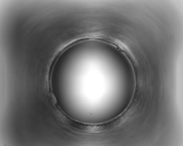 X0000089421176200706221148