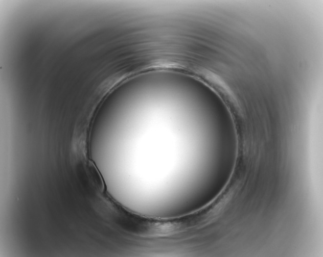 X0000089421177200706221148