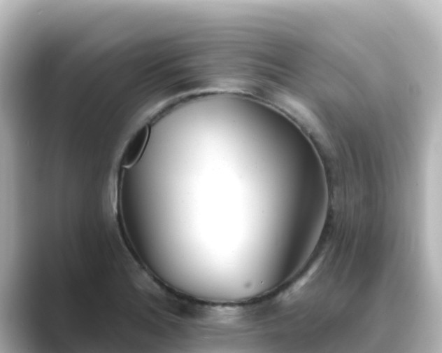 X0000089421180200706221148