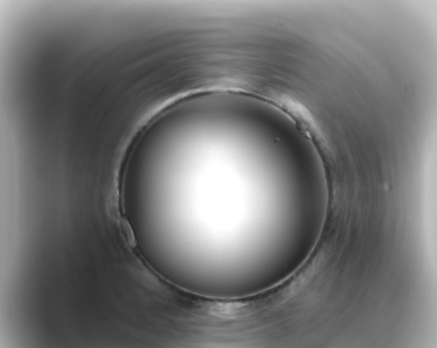 X0000089421184200706221148