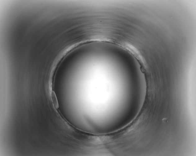 X0000089421188200706221148