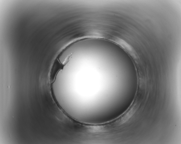 X0000089421192200706221147