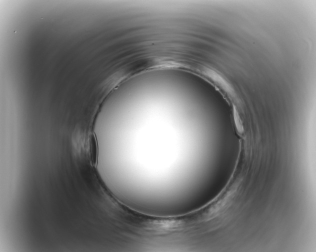 X0000089421193200706221147