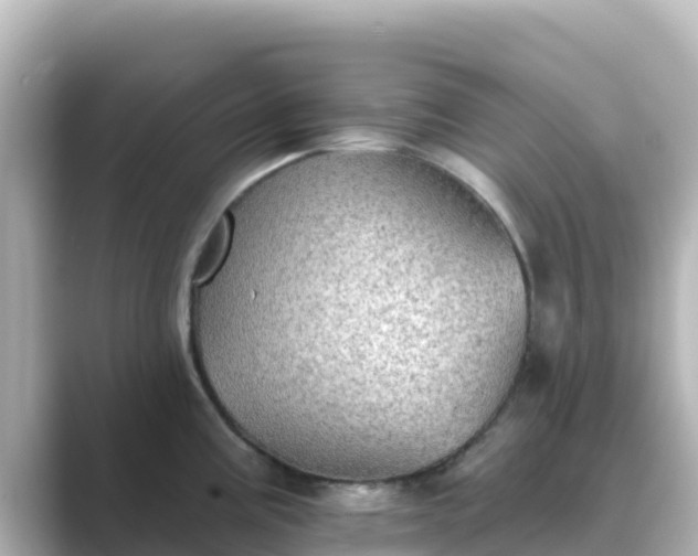 X0000089421195200706221147
