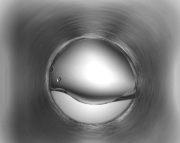 X0000089421196200706221147