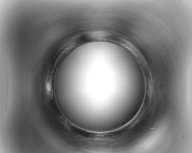 X0000089421198200706221147