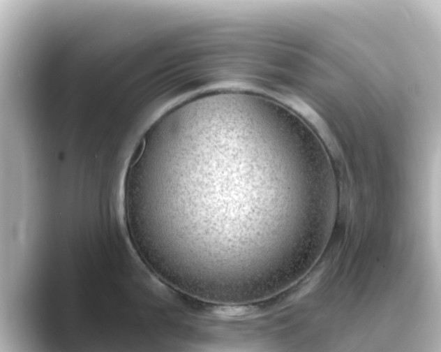 X0000089421199200706221147