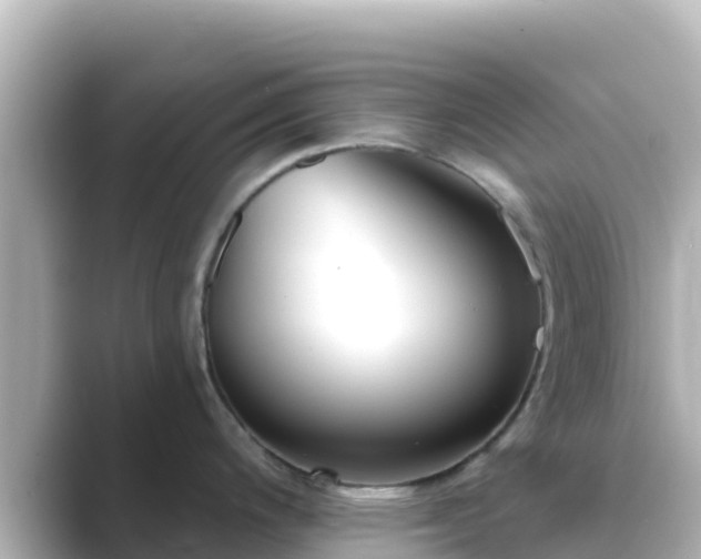 X0000089421200200706221147