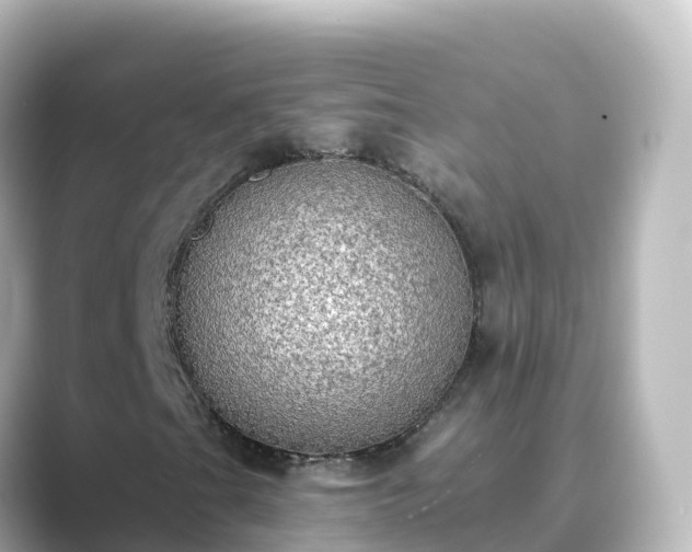 X0000089421201200706221147
