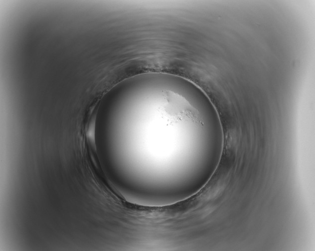 X0000089421202200706221147