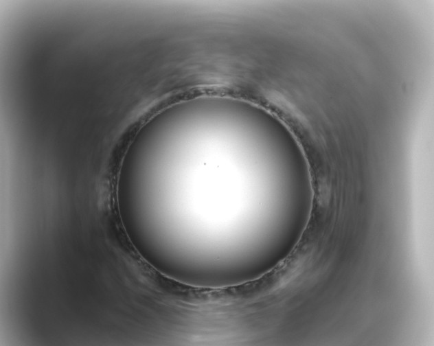 X0000089421208200706221147