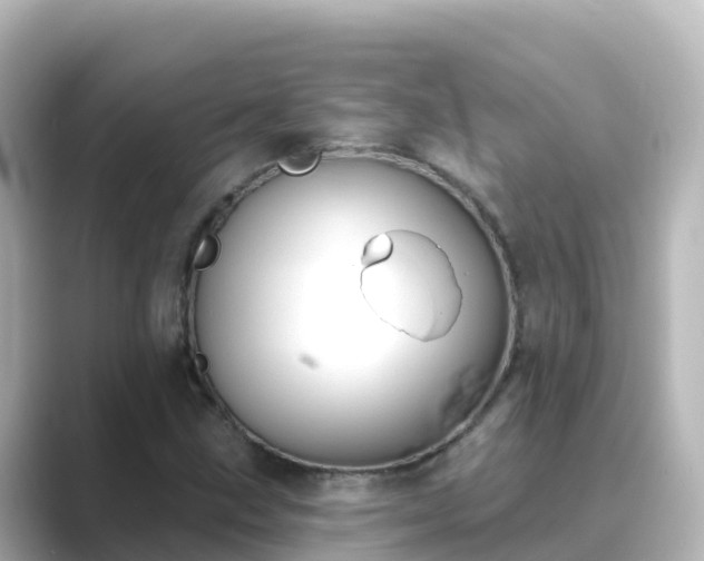 X0000089421211200706221147
