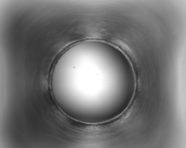 X0000089421212200706221147