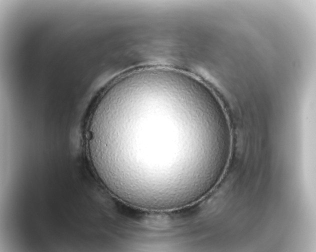 X0000089421215200706221147