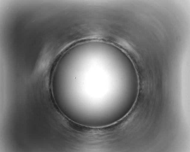 X0000089421216200706221147