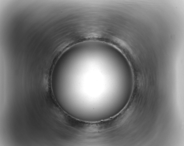X0000089421217200706221147