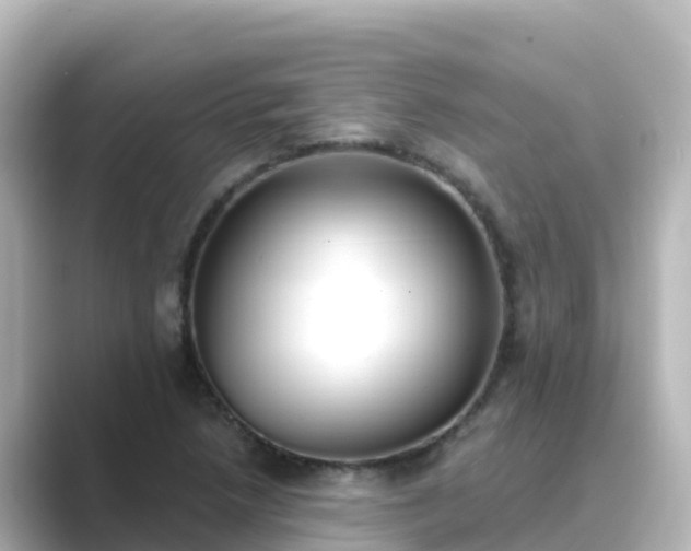 X0000089421218200706221147