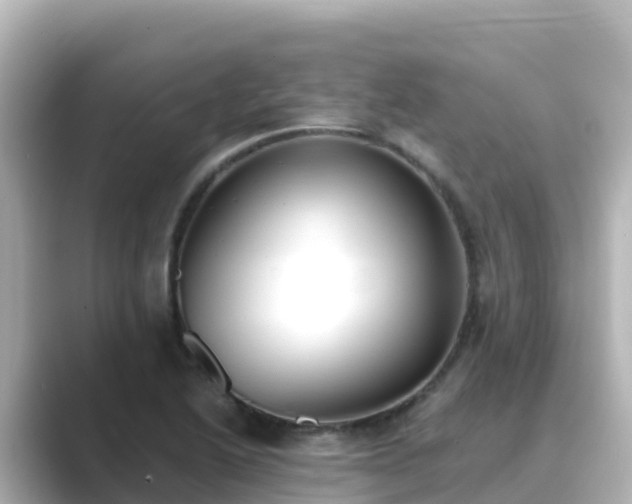 X0000089421222200706221147