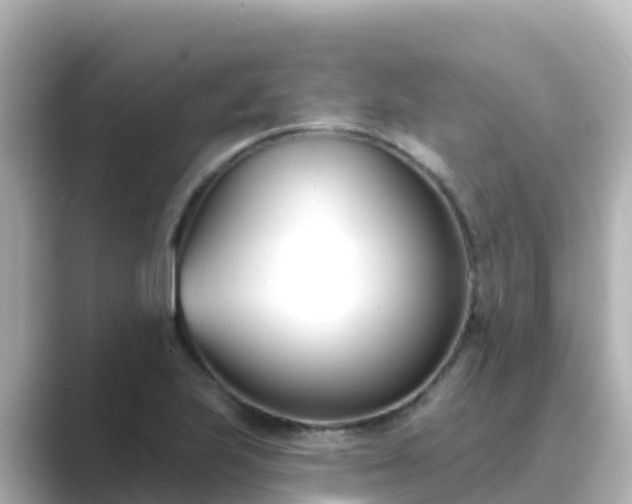 X0000089421223200706221147