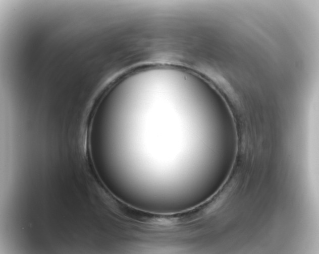 X0000089421224200706221147
