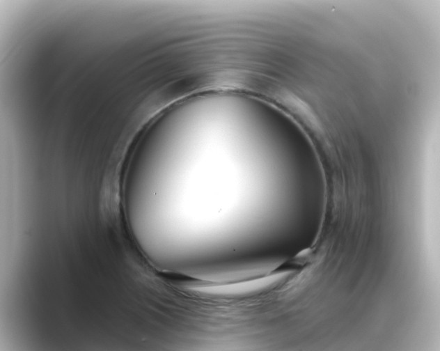 X0000089421226200706221147