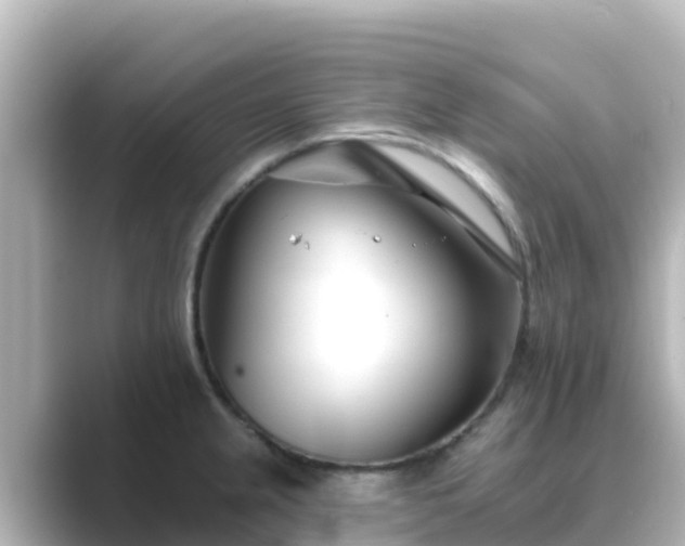 X0000089421237200706221147