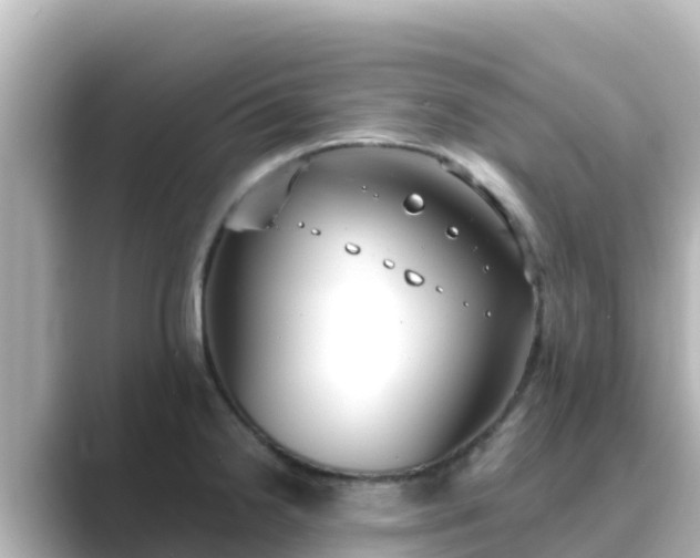 X0000089421238200706221147