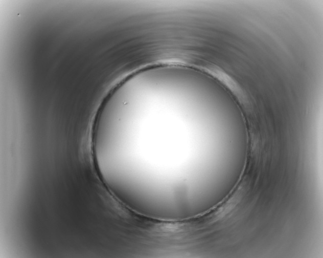 X0000089421240200706221147