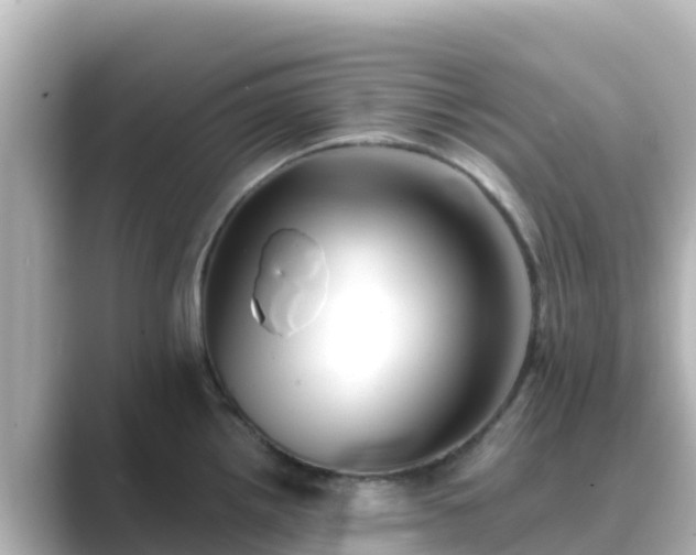 X0000089421242200706221147