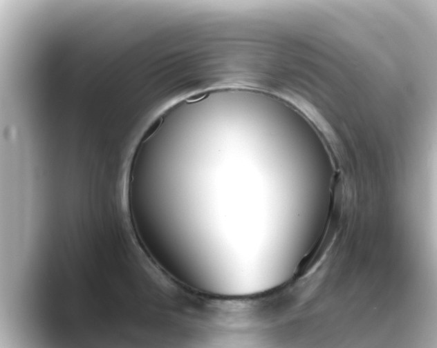 X0000089421246200706221147