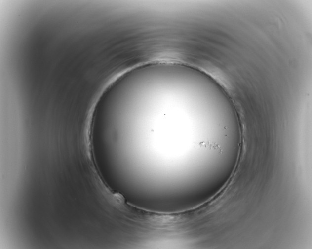 X0000089421248200706221147