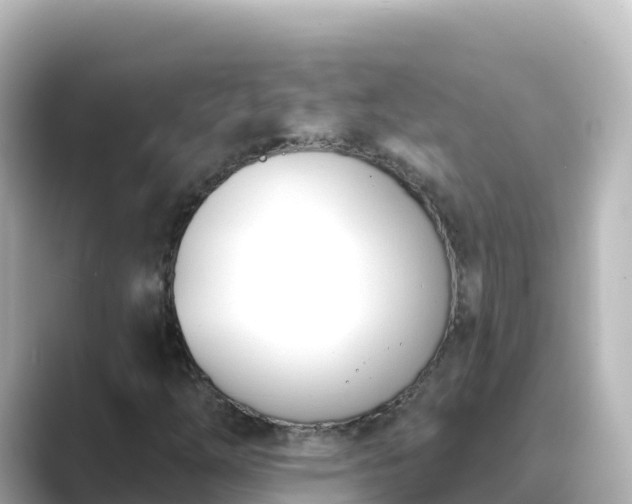X0000089421254200706221147