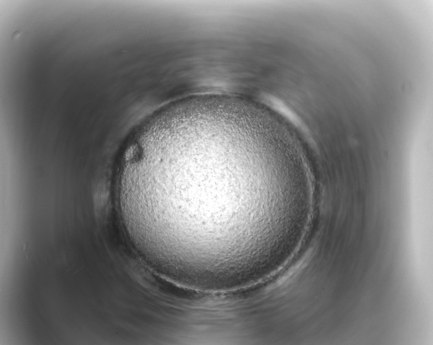 X0000089421259200706221147