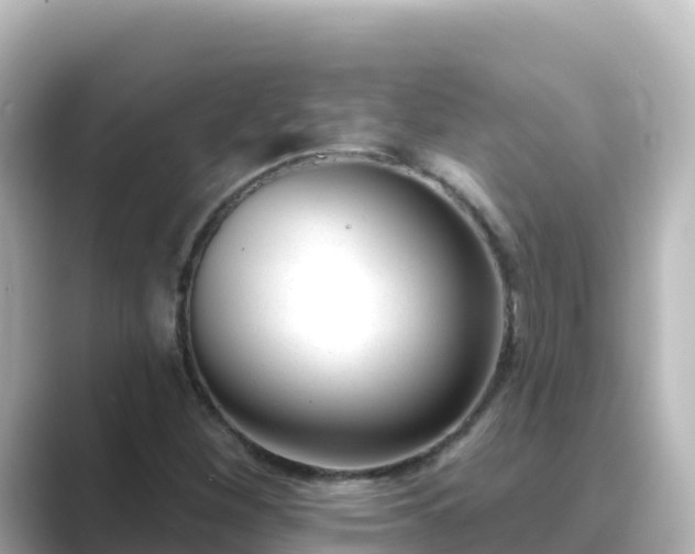 X0000089421260200706221147