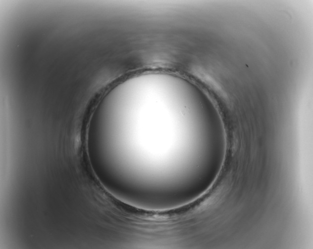 X0000089421261200706221147